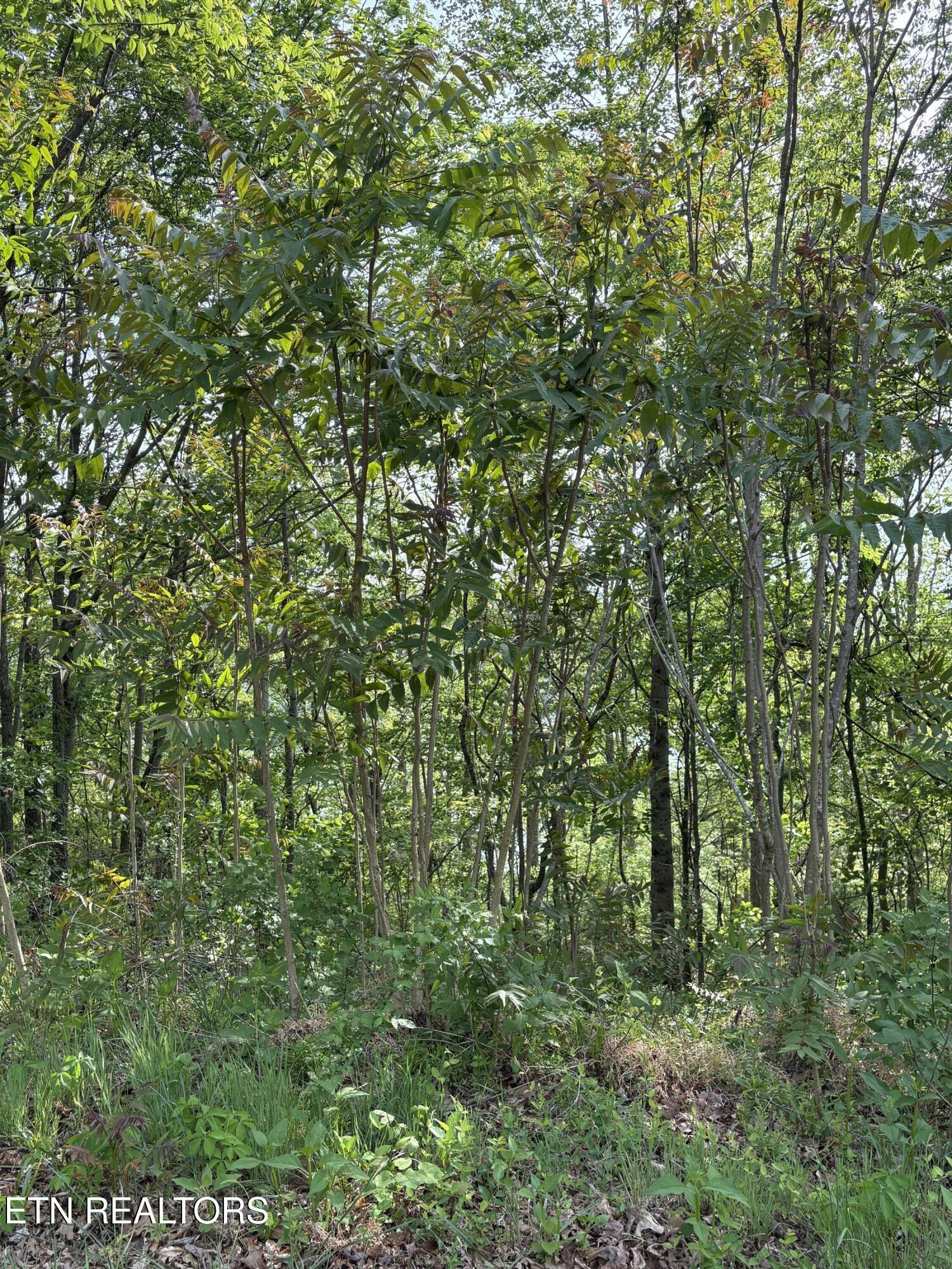 Image 3: IMG_8689
