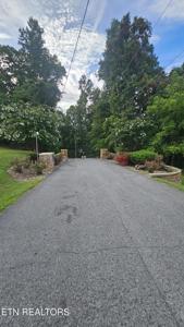 Shanghai Landing Lane