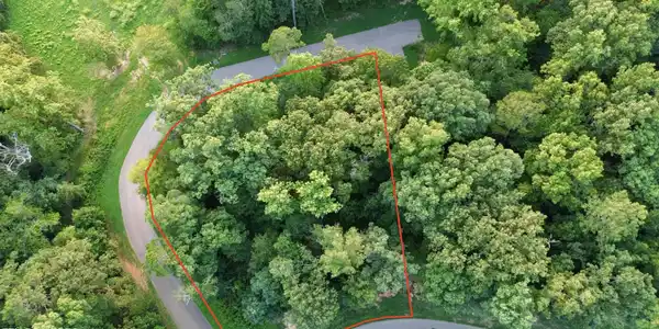 Image 2: DJI_0640