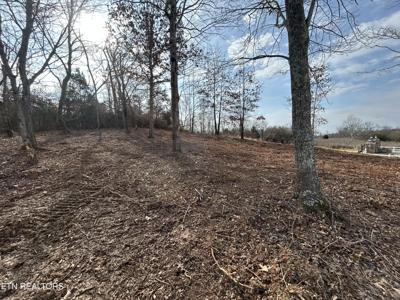 Lot 232 Star Lane