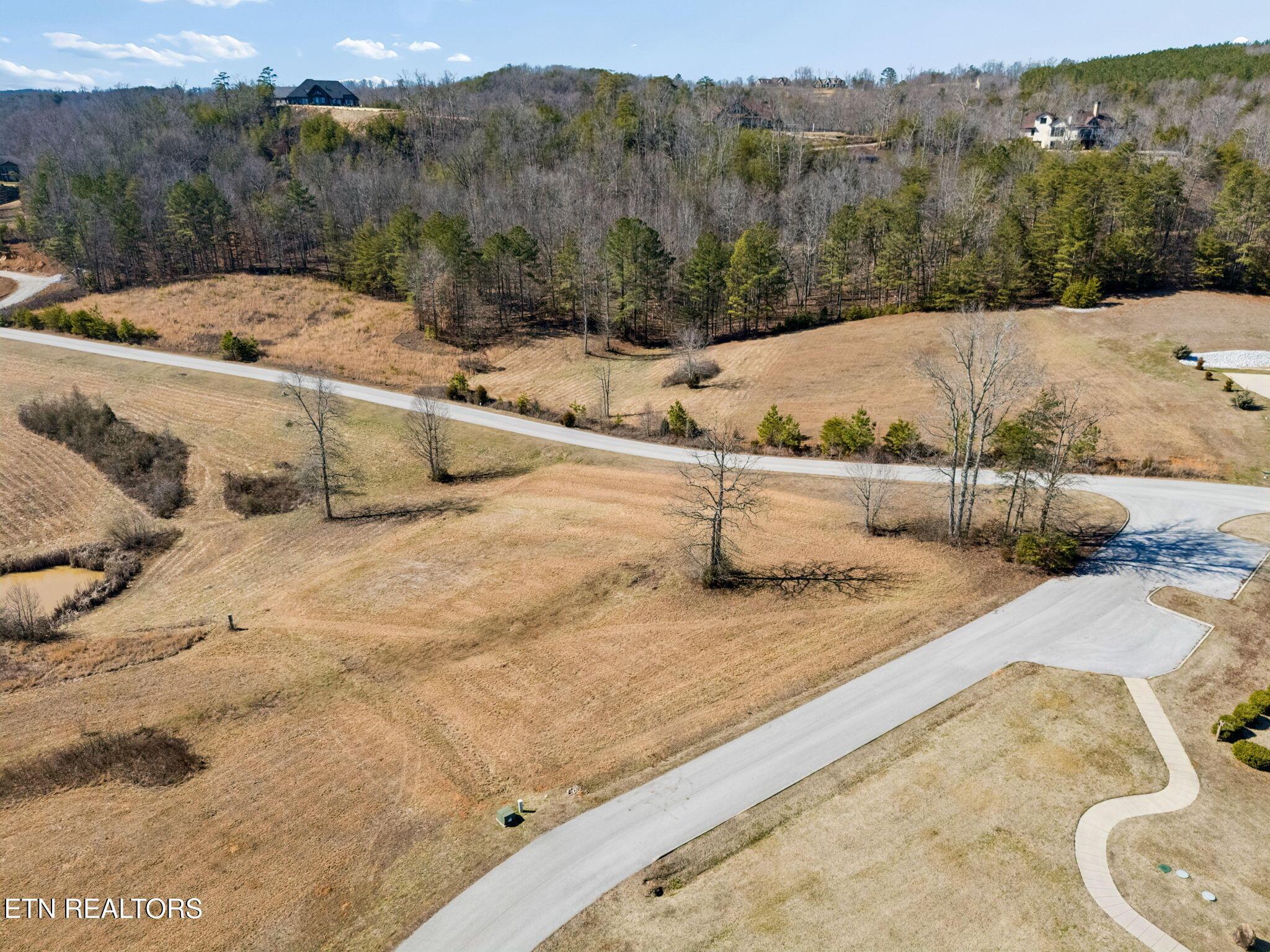 Image 4: 332 Enclave Wy - 008