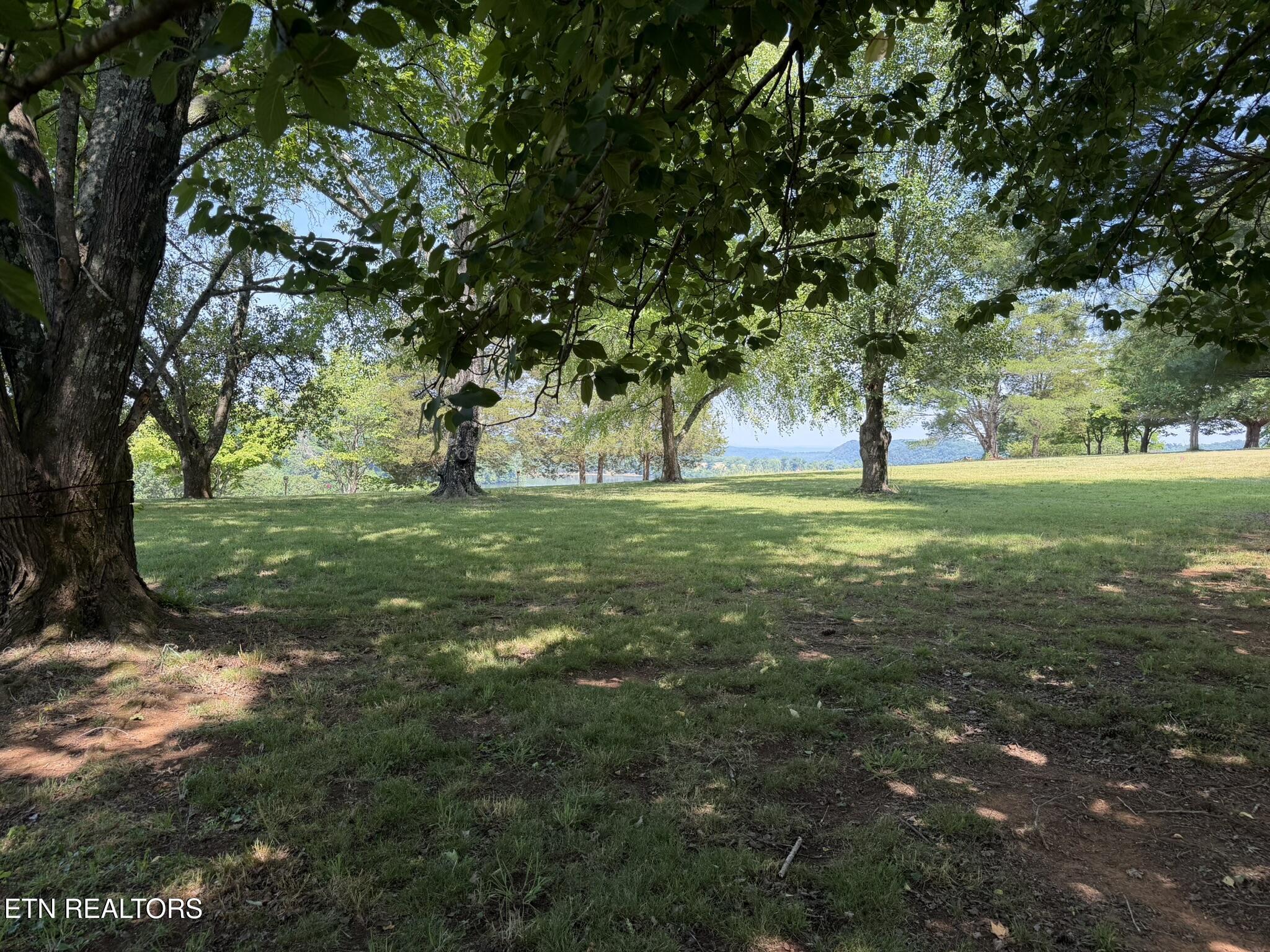Image 2: Lot 21