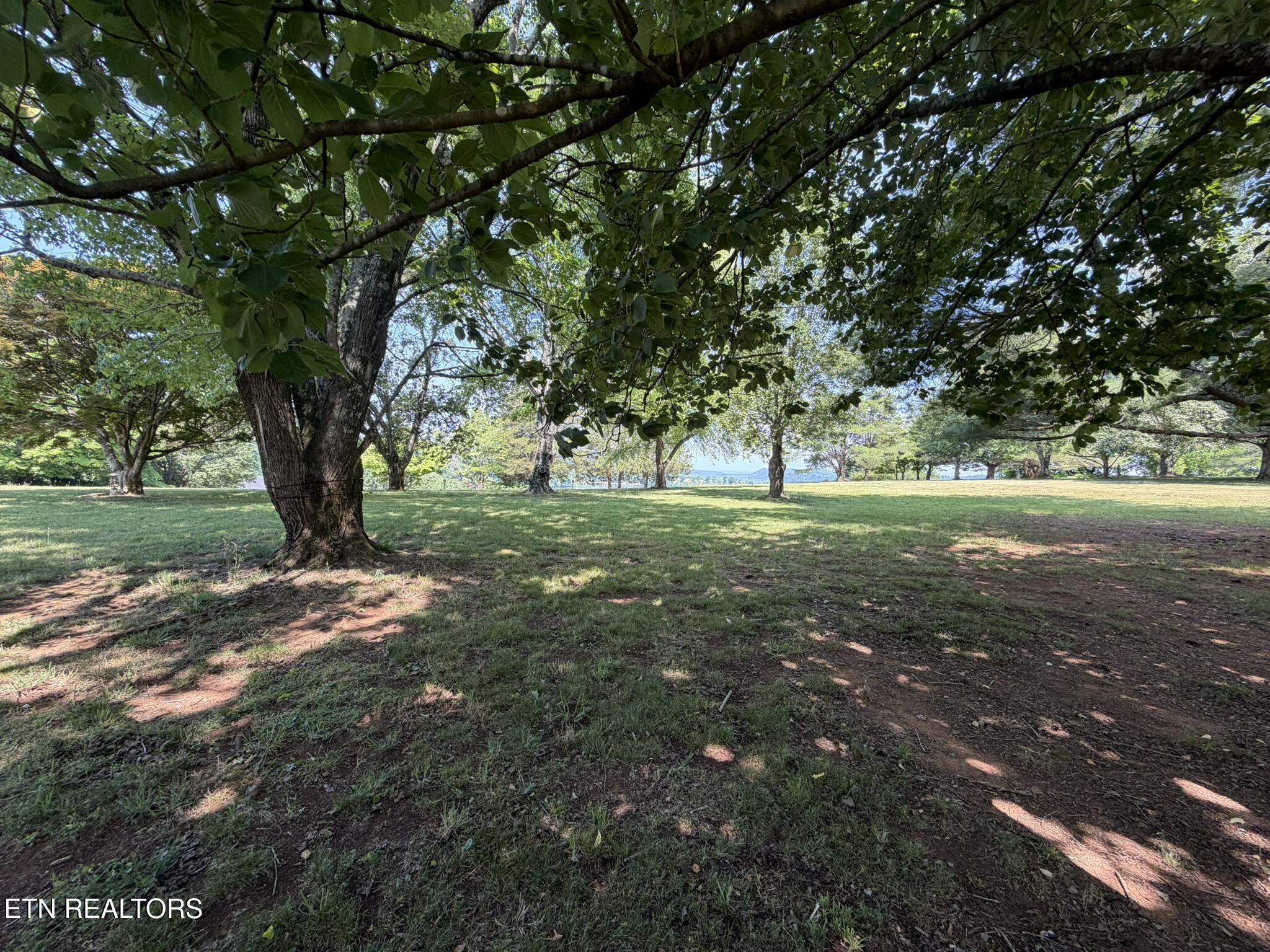 Image 3: Lot 21