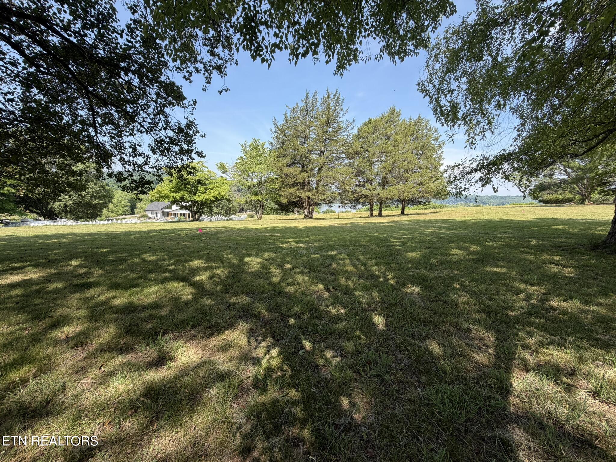 Image 4: Lot 21