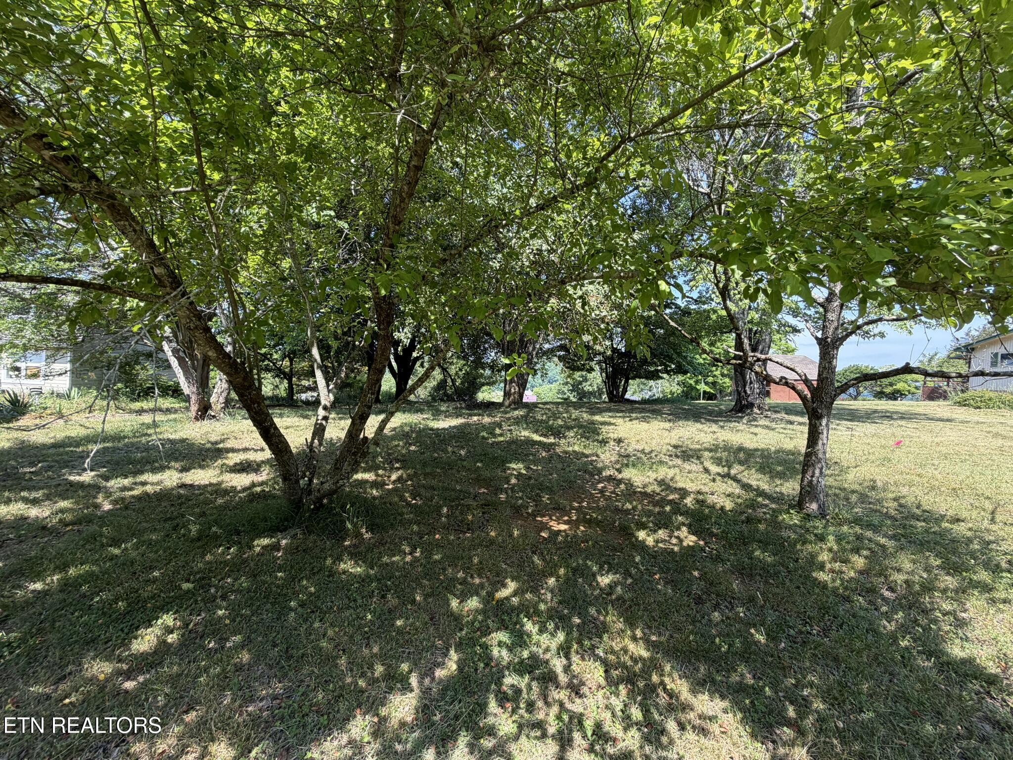 Image 4: Lot 23