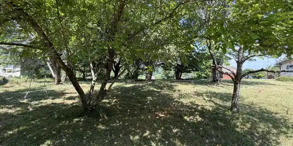 Image 4: Lot 23