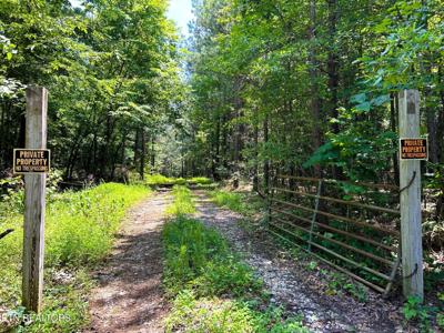 Lot 1 Highway 304
