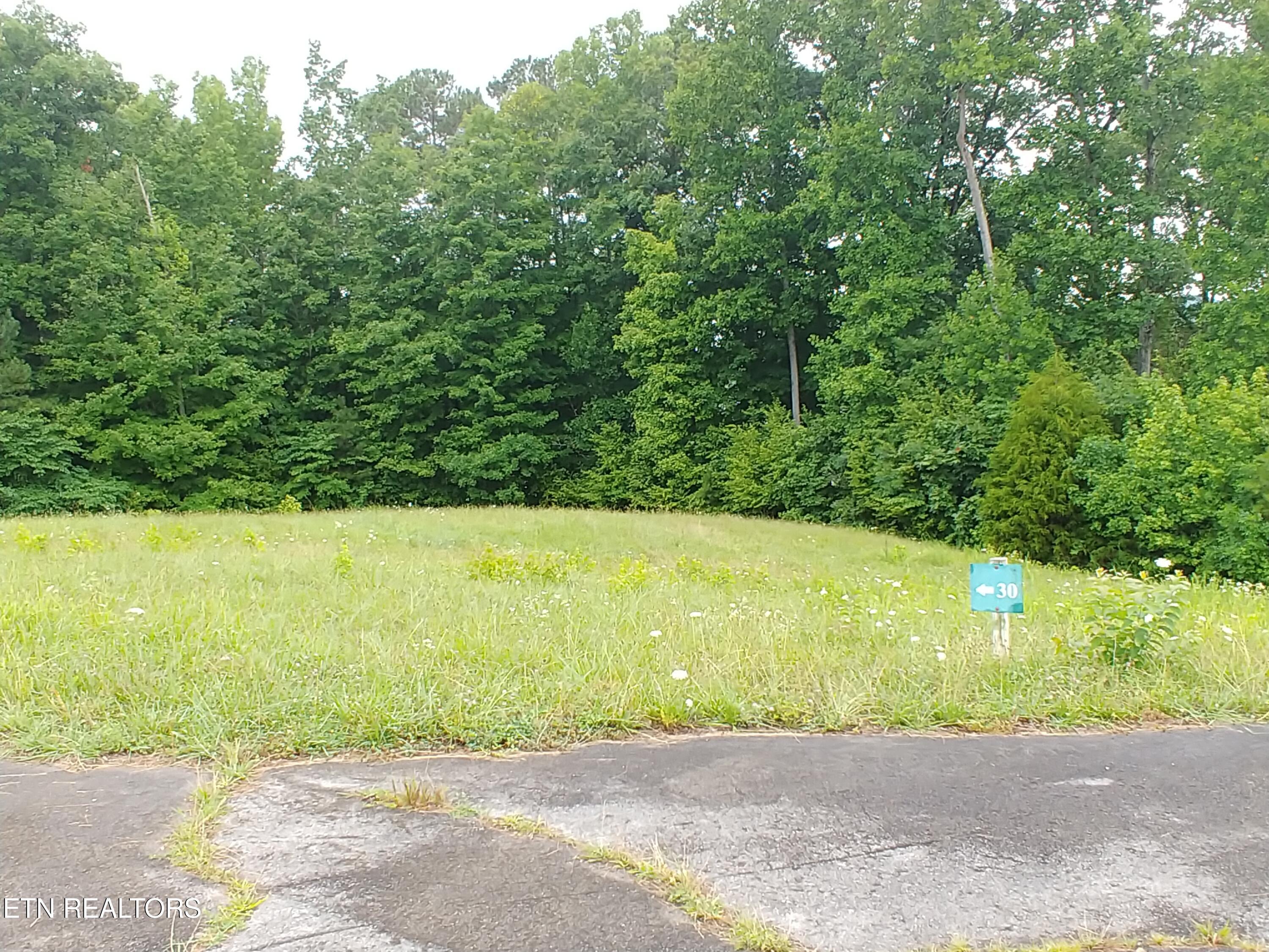 Image 3: Lot 30 Center pic - Copy