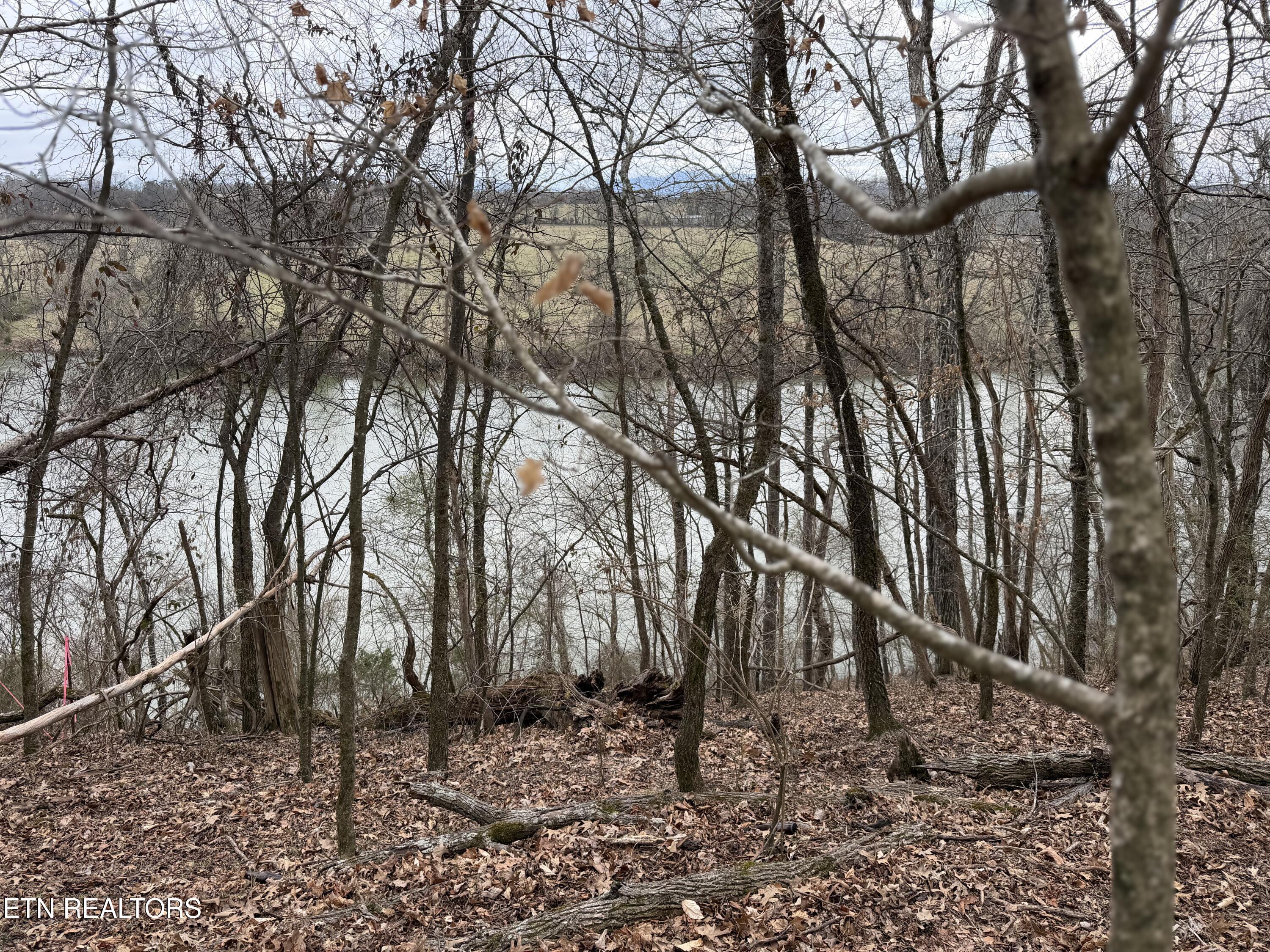 Image 2: IMG_9125