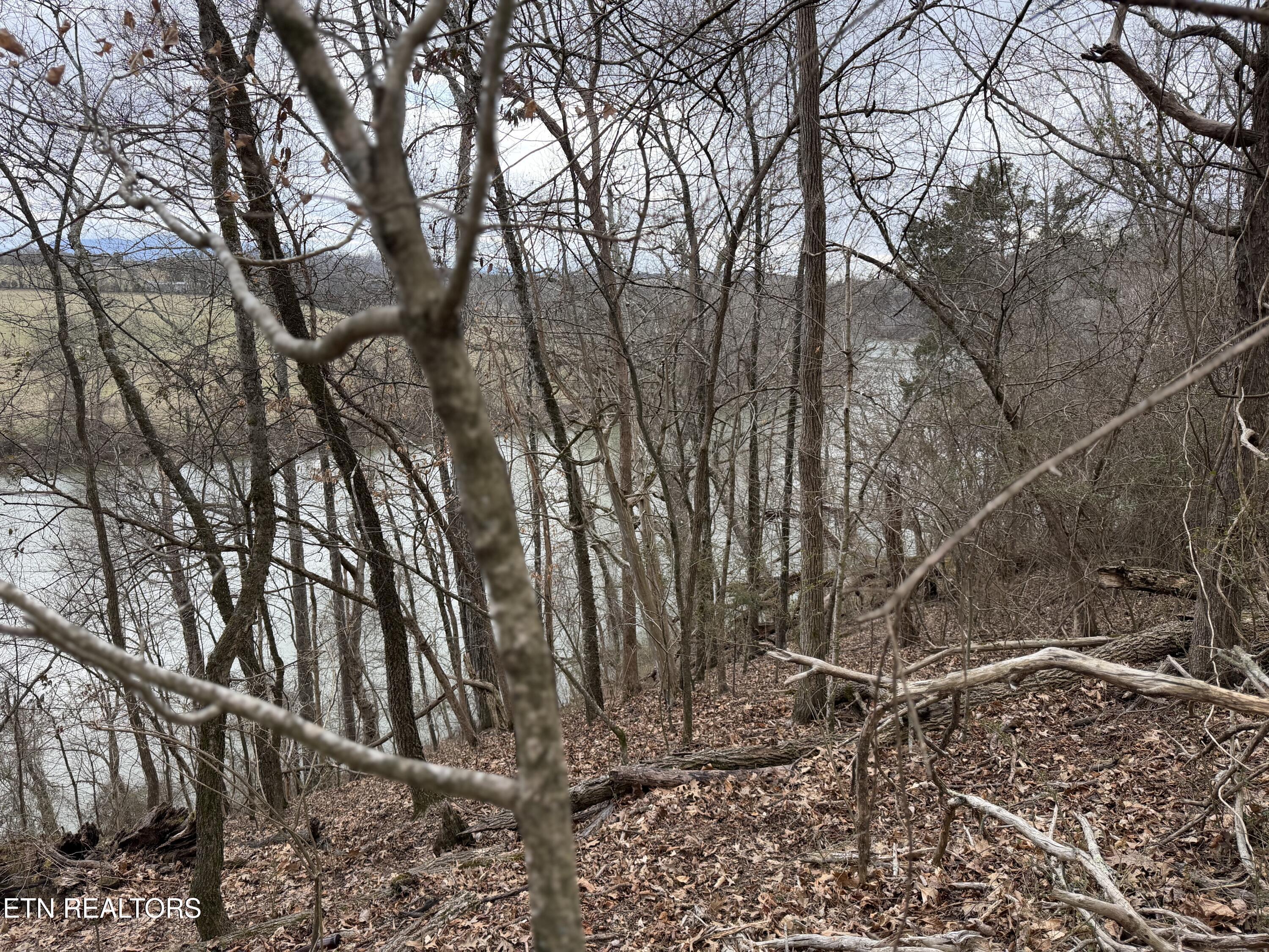 Image 3: IMG_9126