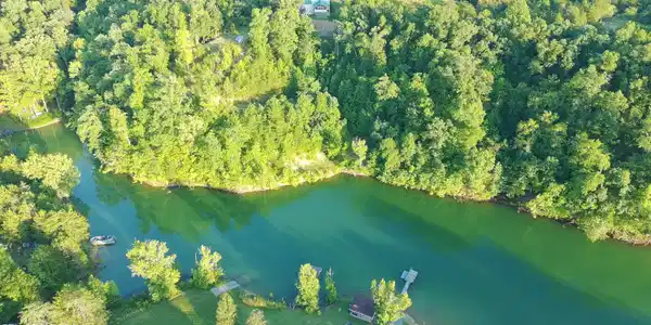 Image 4: 1173' of Shoreline!