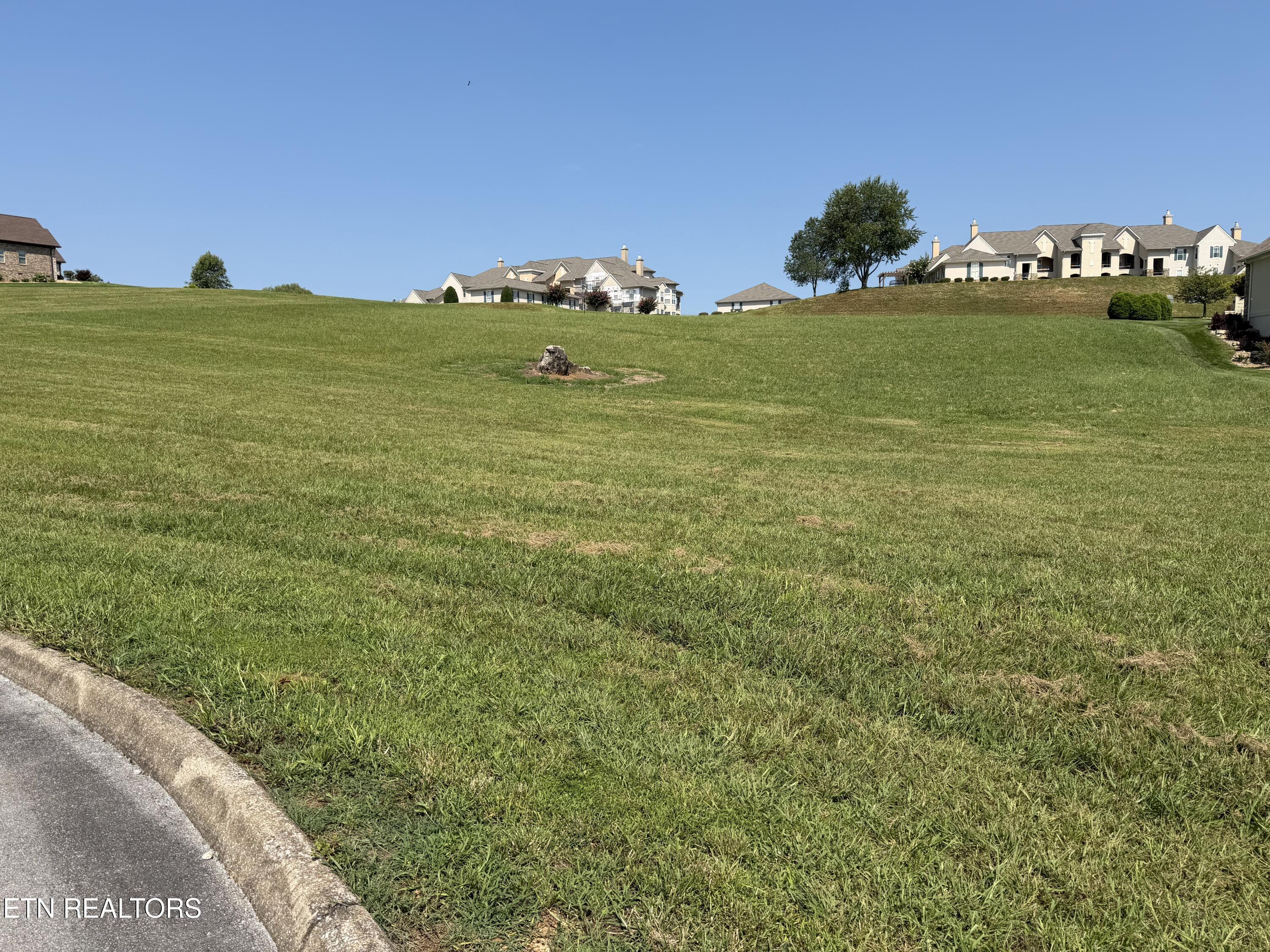 Image 3: IMG_0549