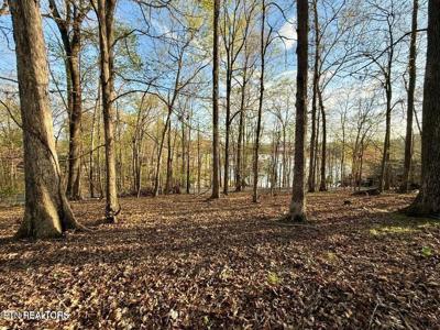 Catoosa Drive & Kahiti Court