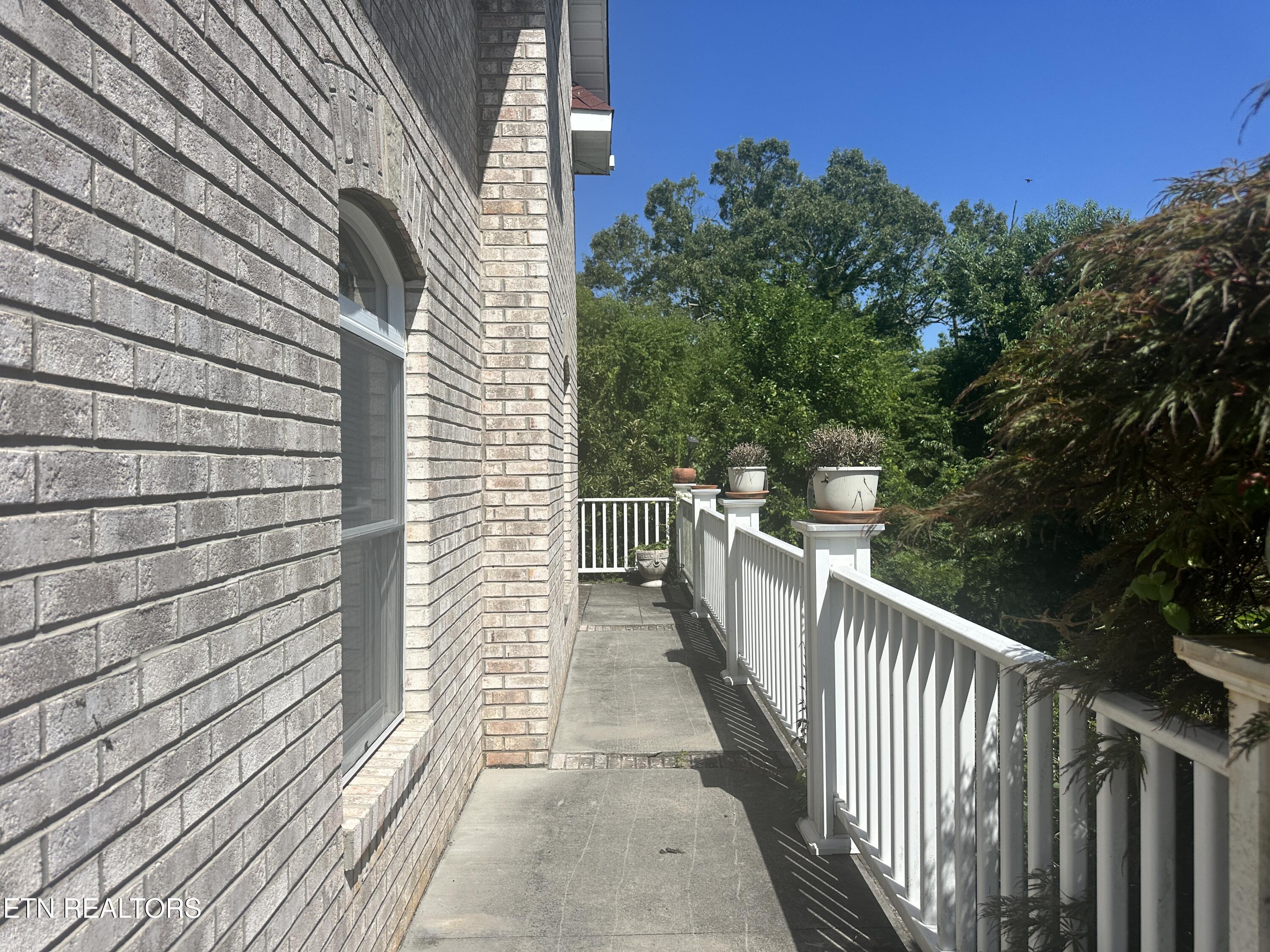 Image 3: IMG_7076