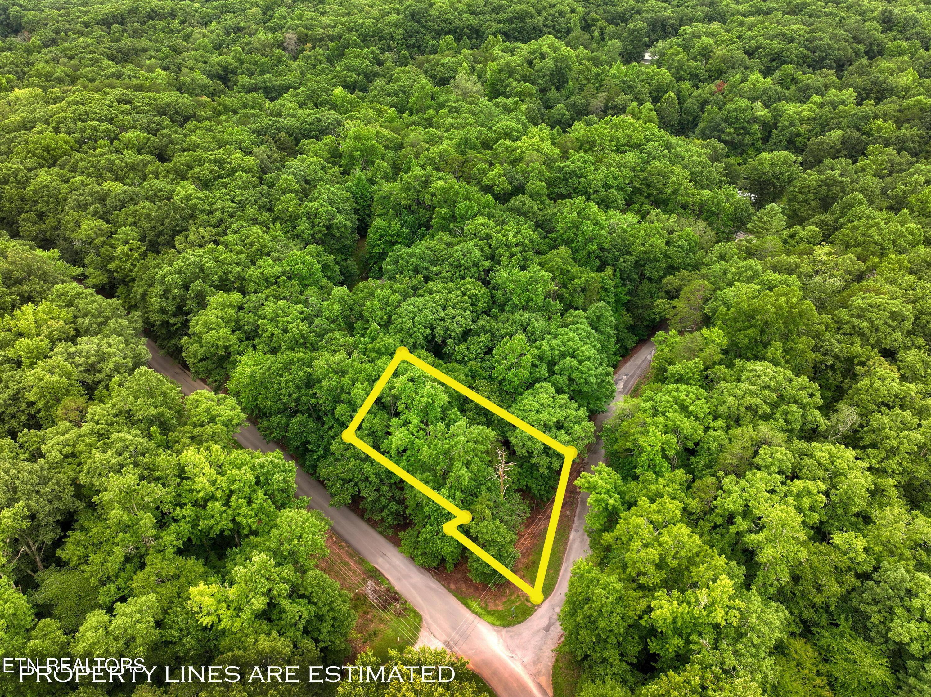 Image 1: DJI_20260715094832_0201_D_49.2