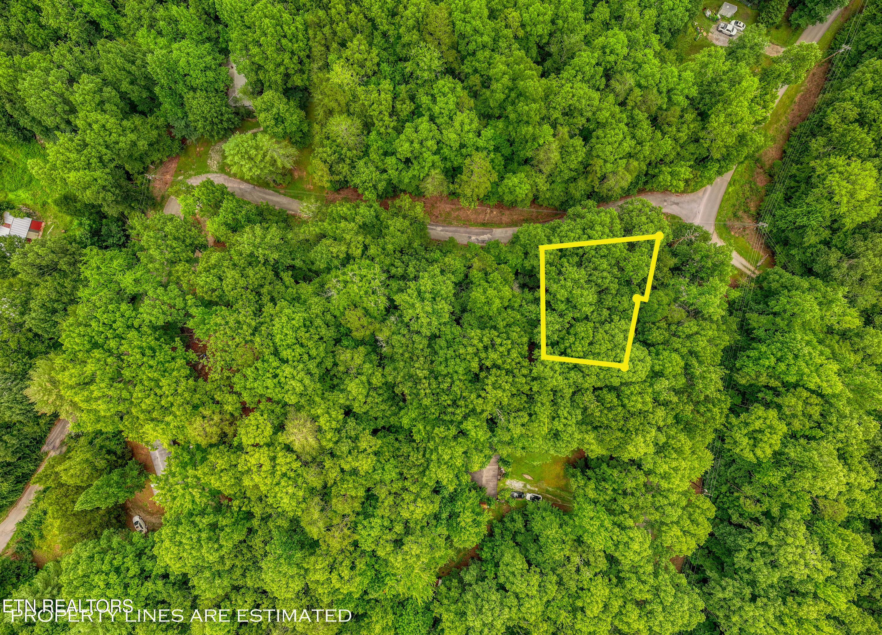 Image 2: DJI_20260715095147_0247_D_59.3