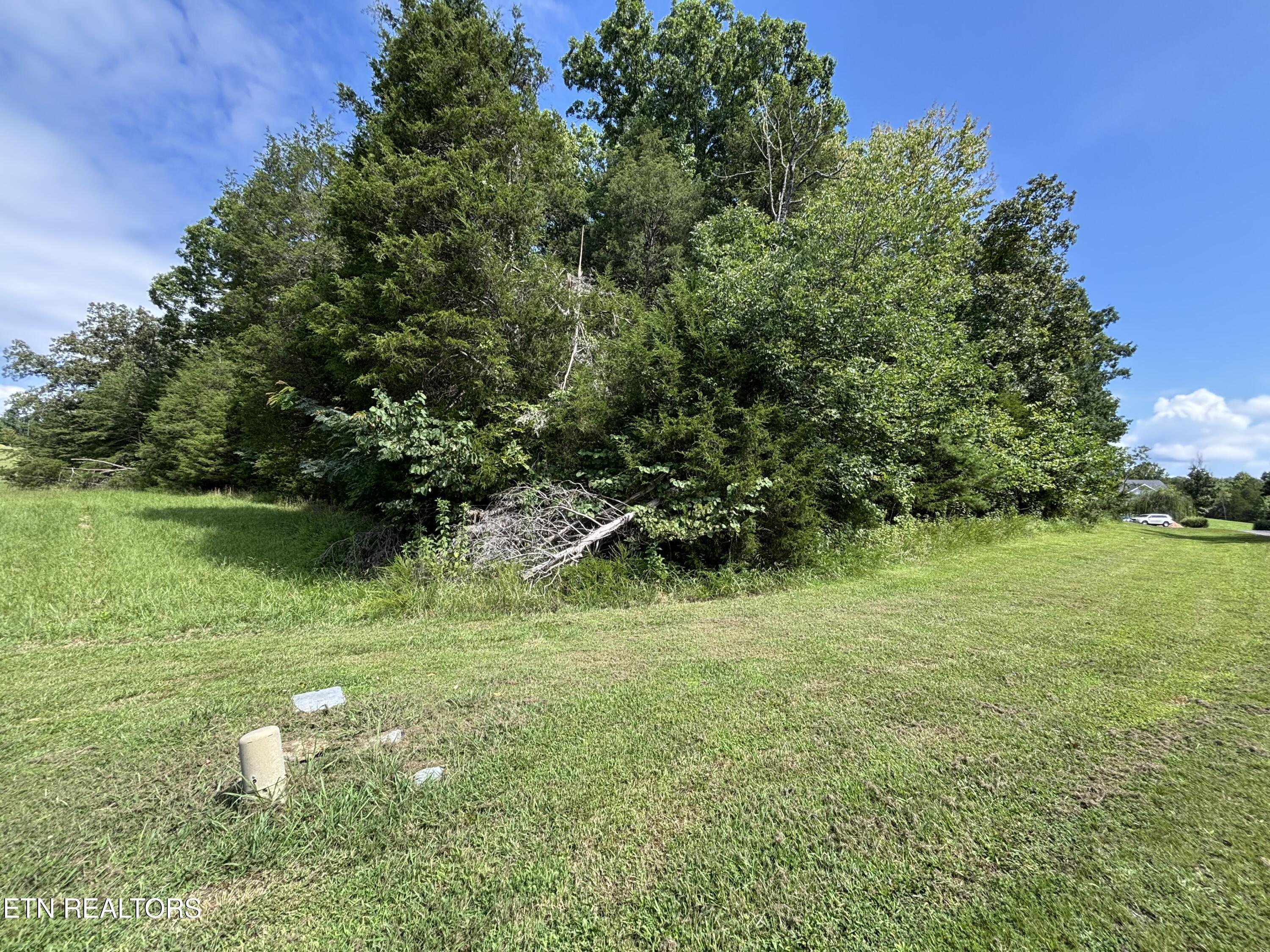 Image 2: Corner View