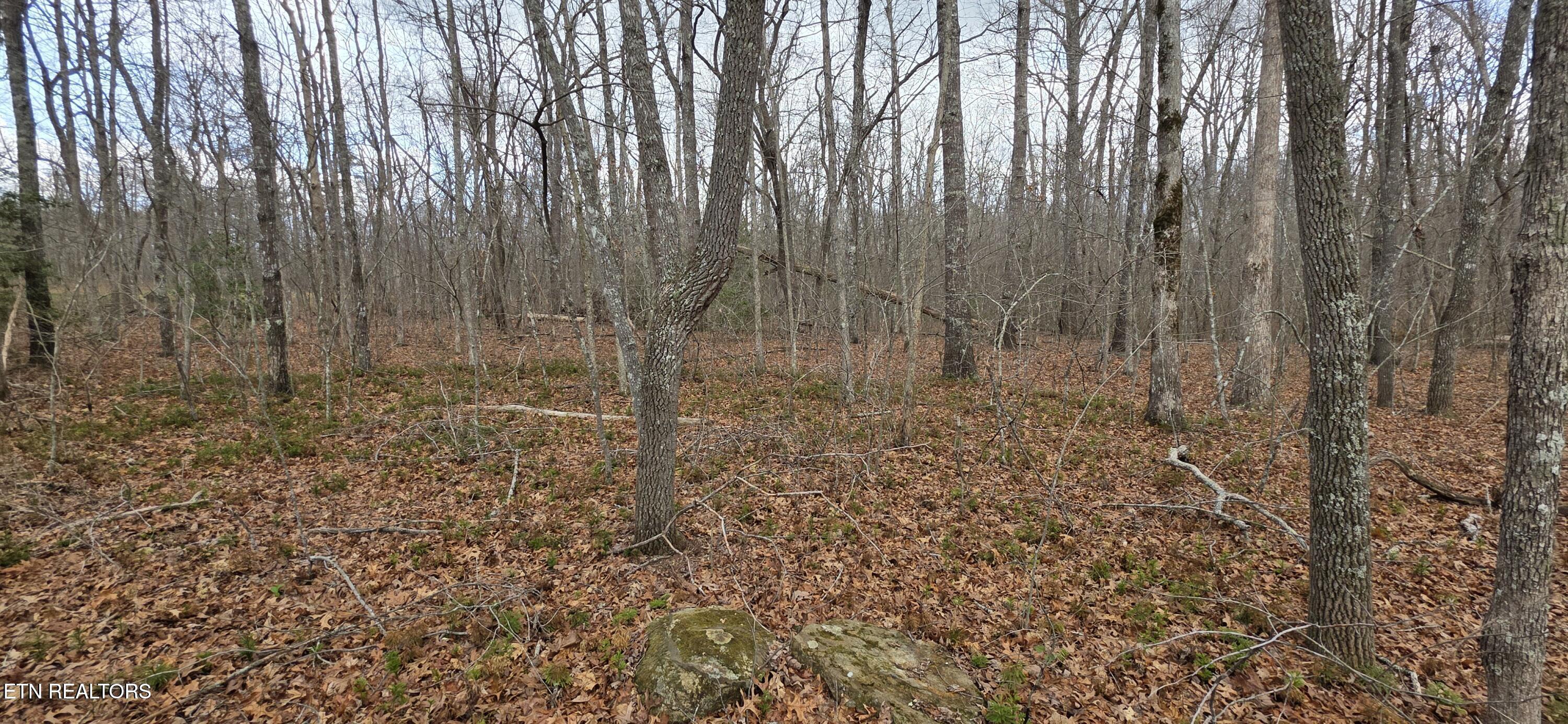 Image 1: Pond Drive Photo 4