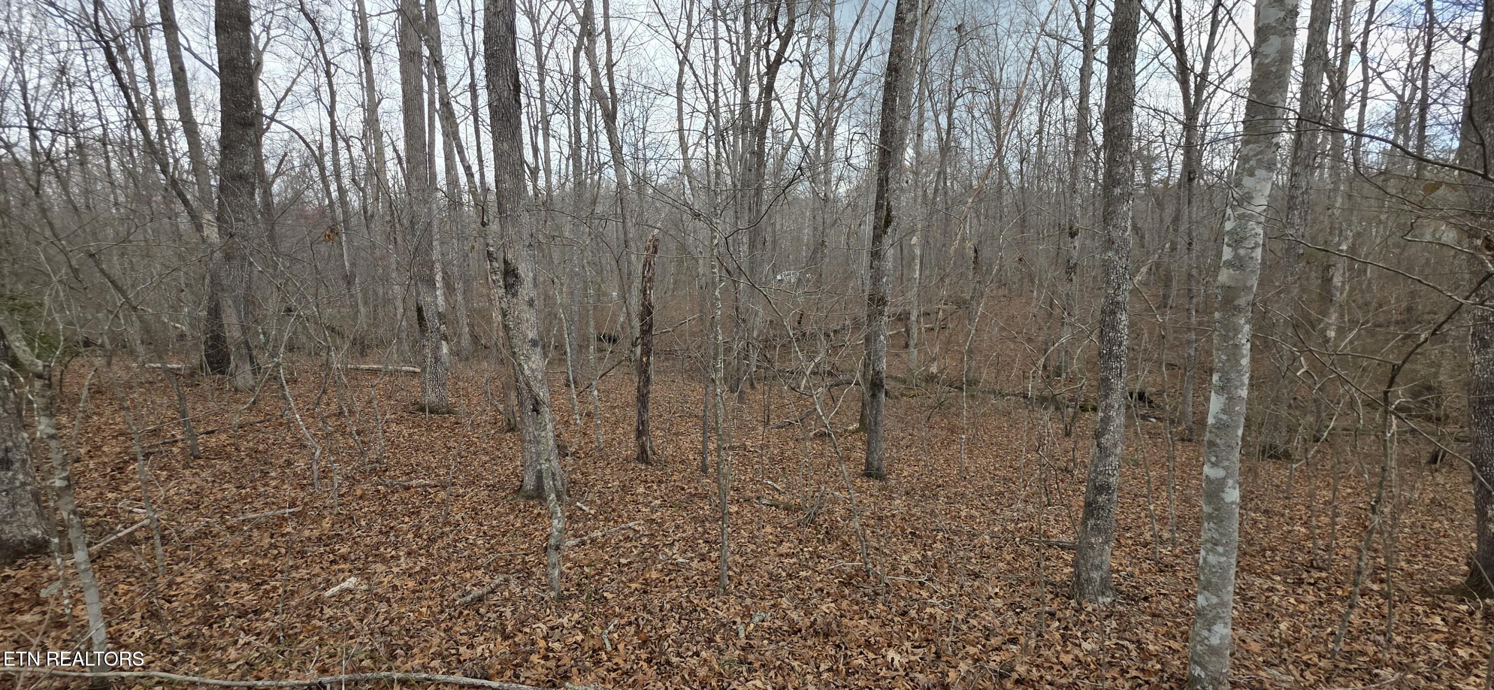 Image 2: Pond Drive Photo 10