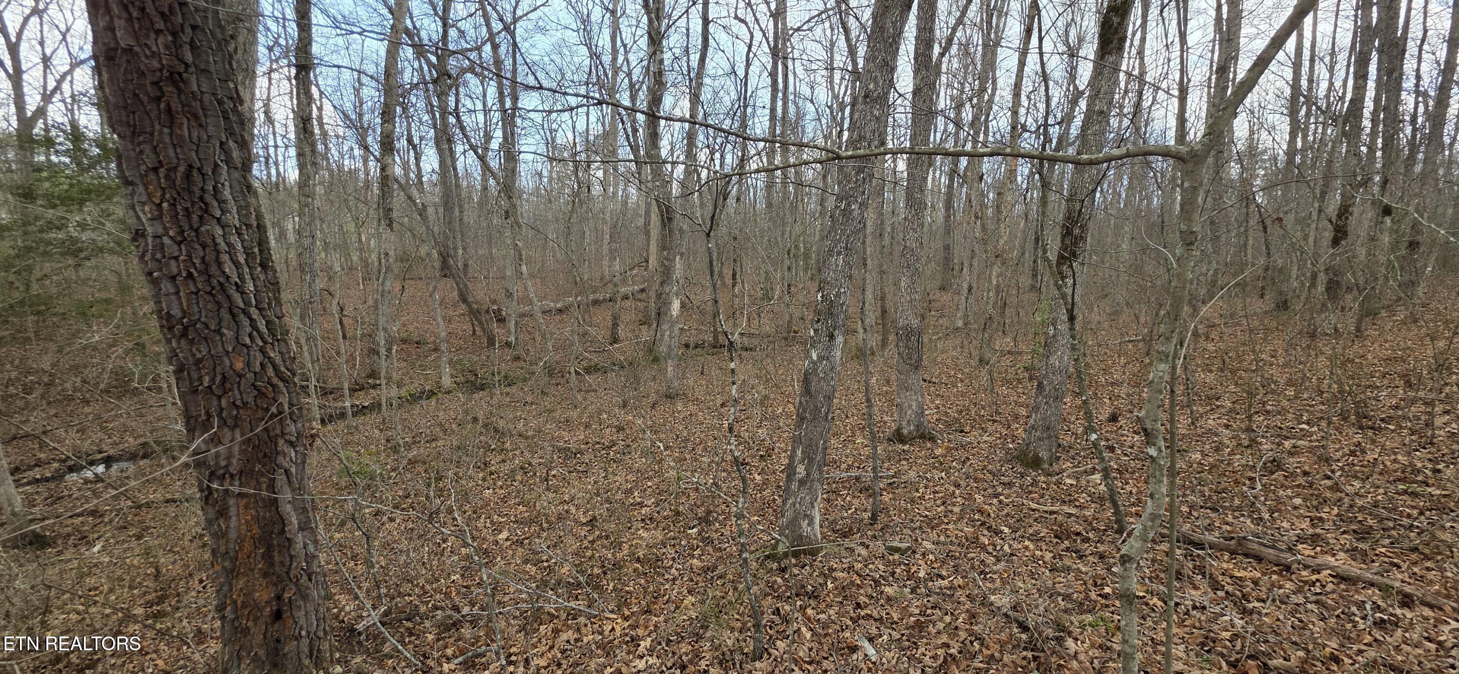 Image 3: Pond Drive Photo 9