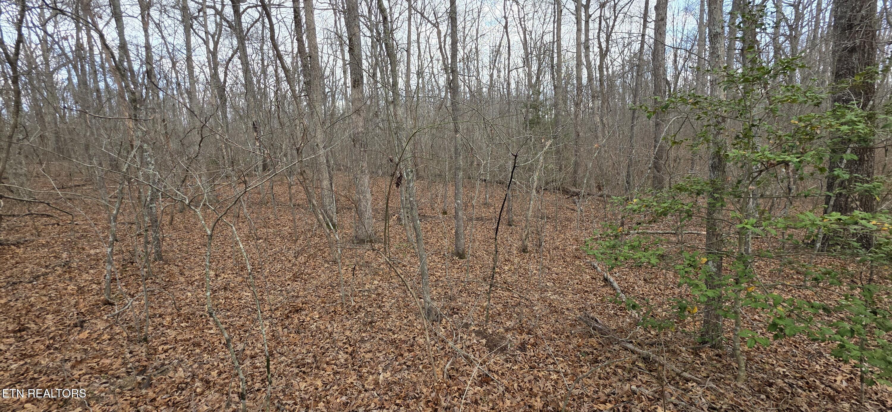Image 4: Pond Drive Photo 6