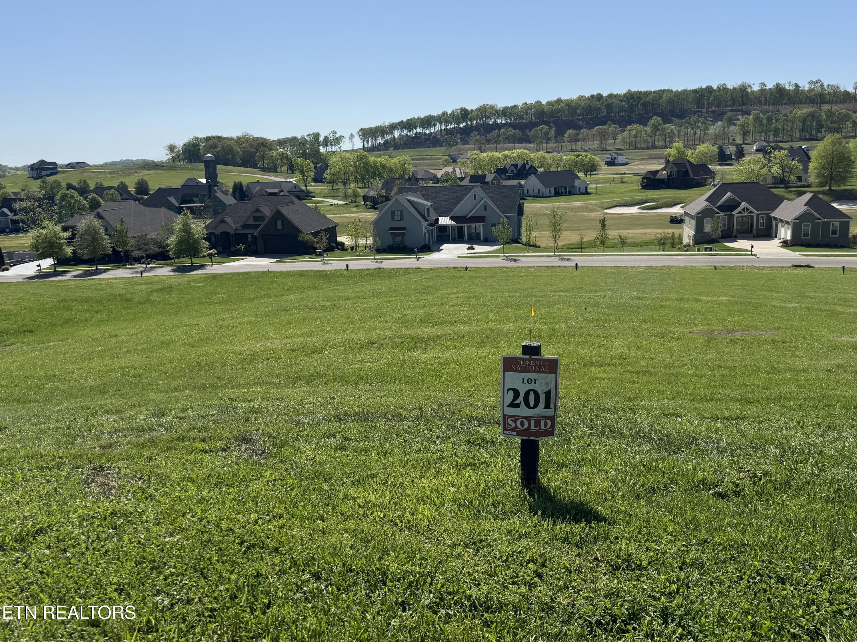 Image 4: IMG_1309