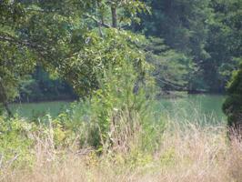 10616 Eastcoast Tellico Pkwy