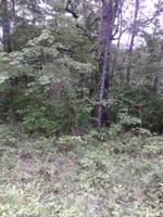 2046 Iowa Drive 236