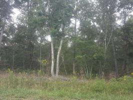 3226 Oswego Rd 77