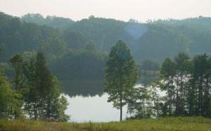 127 Clearwater Cove Drive 8