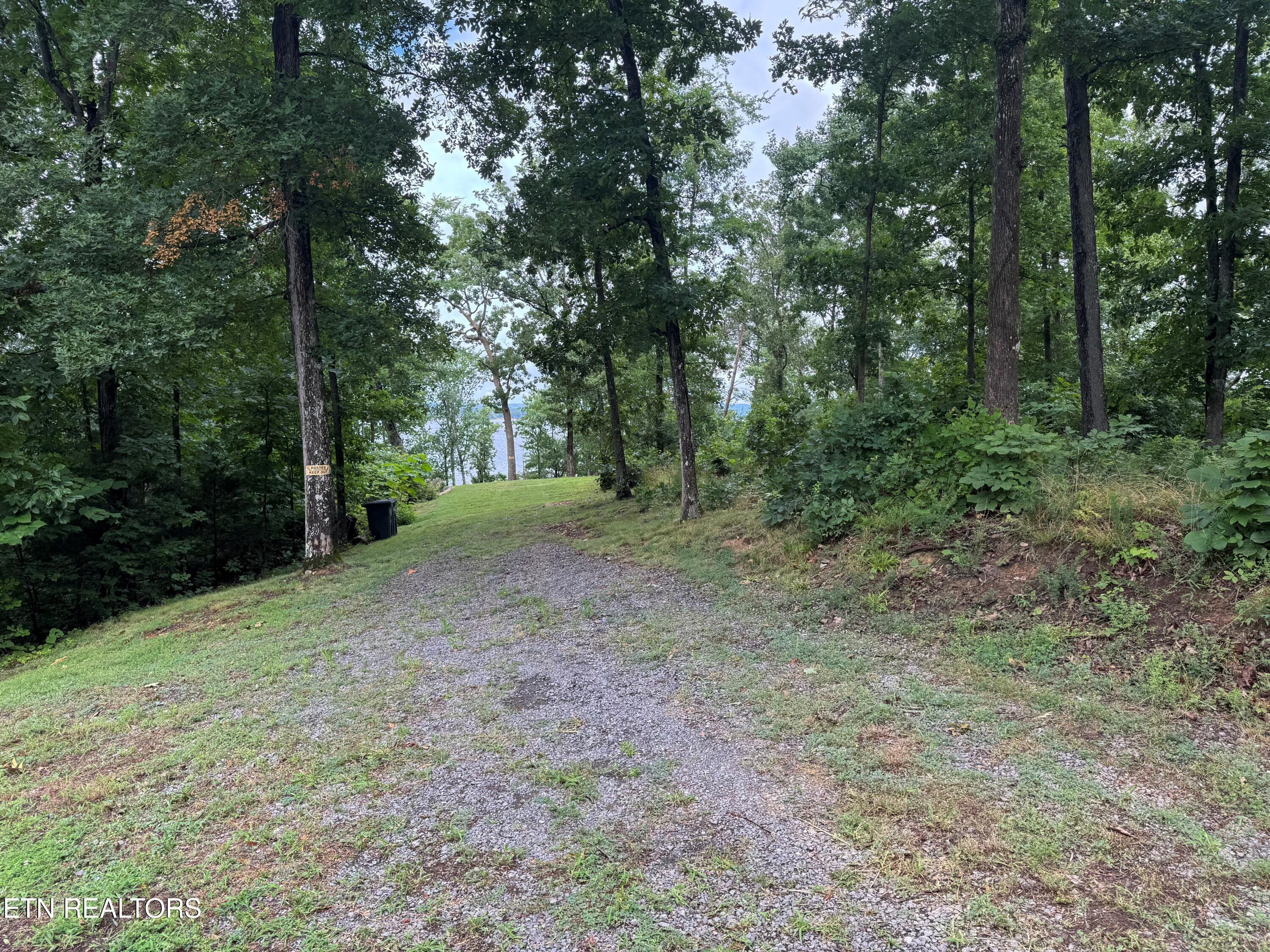 Image 1: land