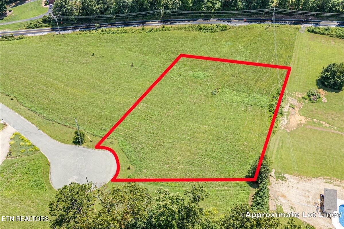 Image 3: 08-Lot 55 A2