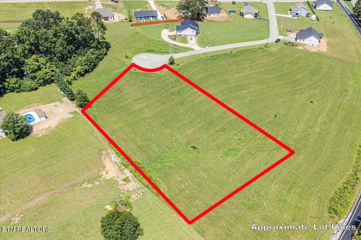 Image 4: 12-Lot 55 A6