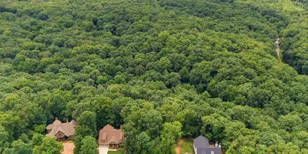 1004 Old Dogwood Tr