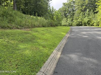 Cove Springs Drive