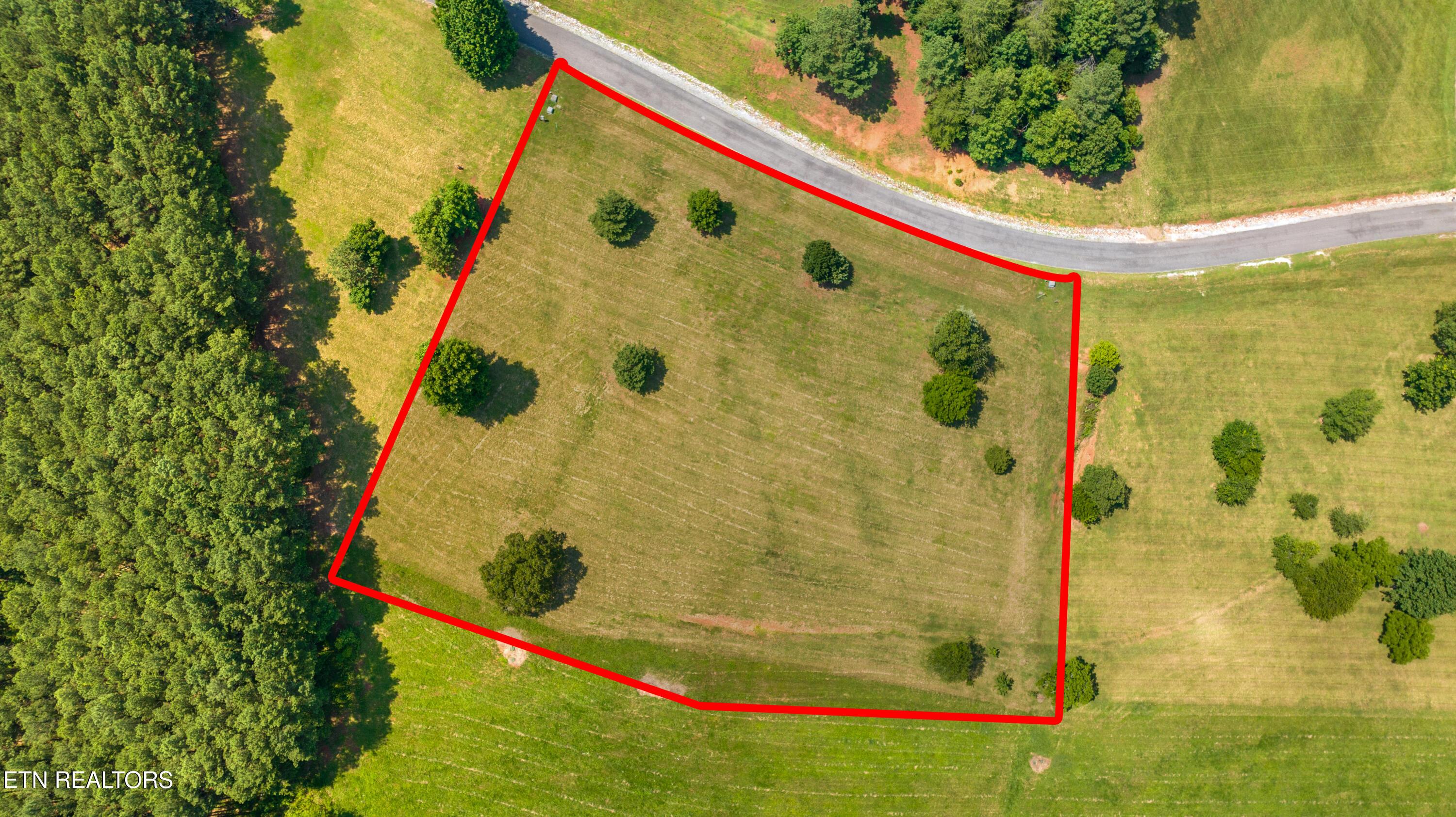 Image 2: DJI_0800