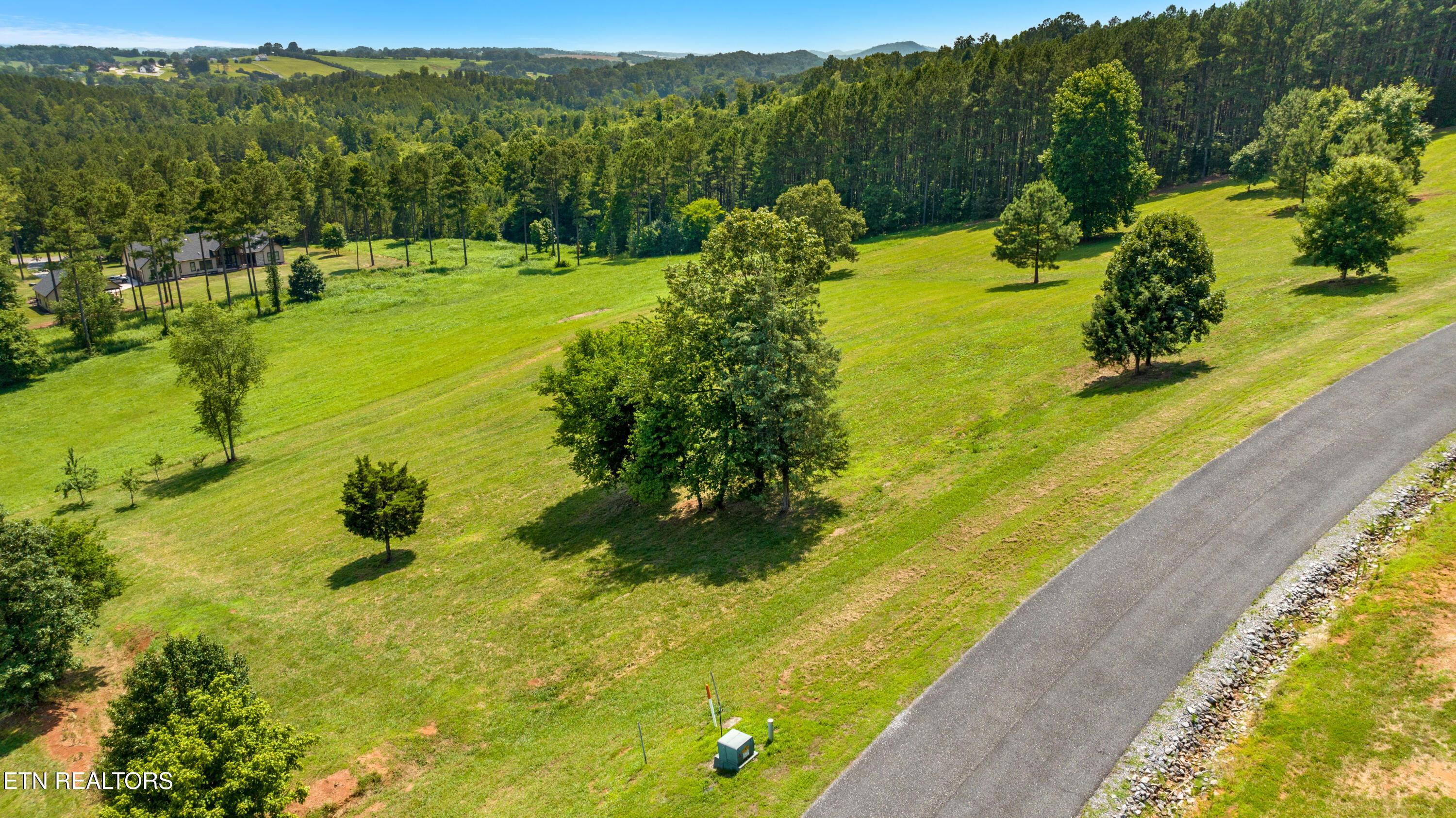 Image 3: DJI_0740