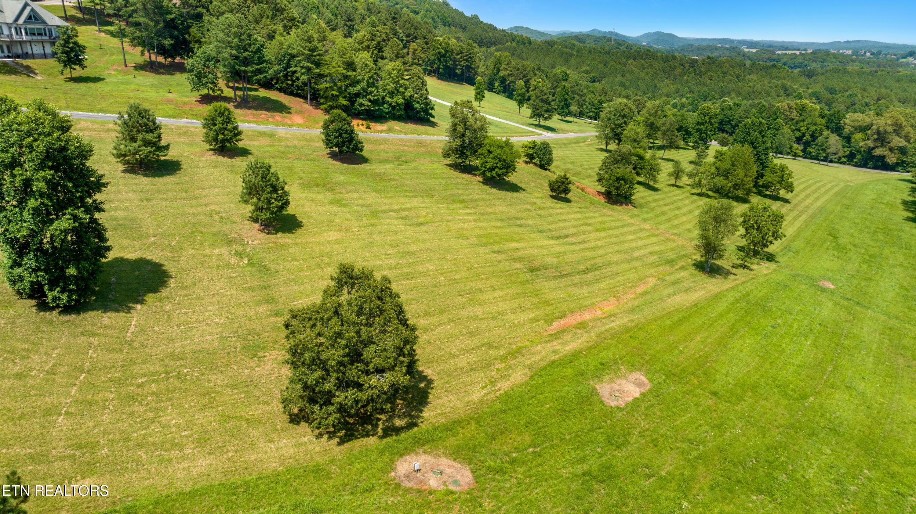 Image 4: DJI_0775