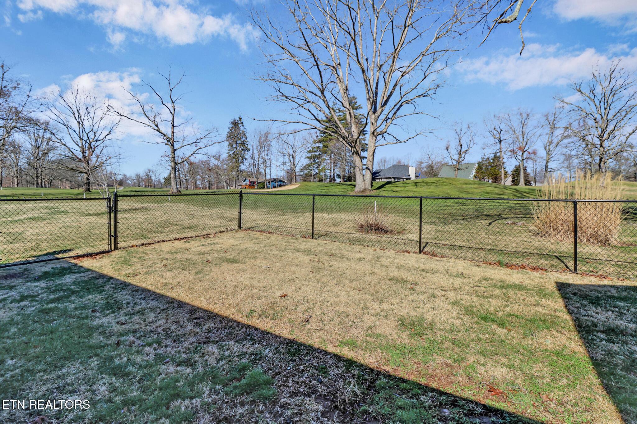 Image 4: Fenced Yard