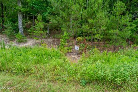 726 Twin Lks Drive