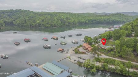 564 Flat Hollow Marina Rd