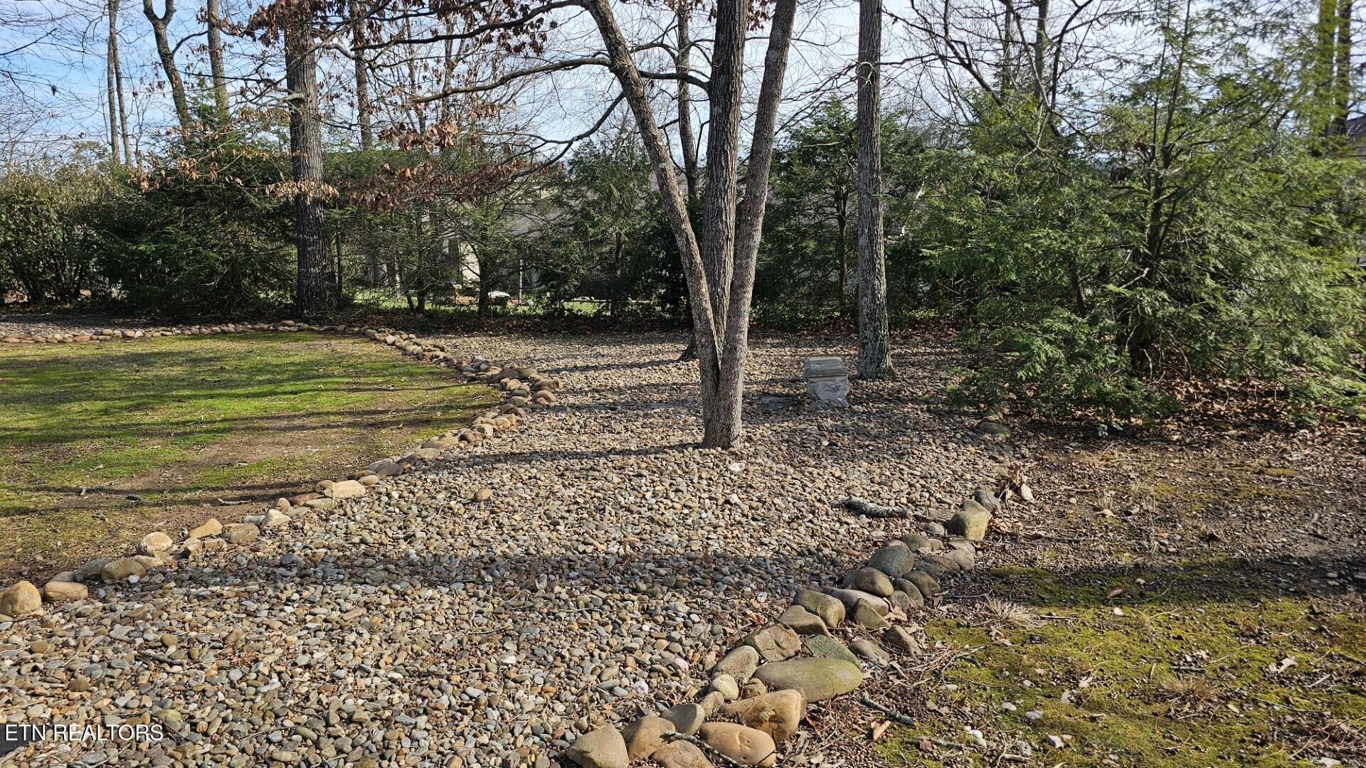 Image 4: Backyard