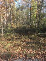 4069 Lone Wolf Circle