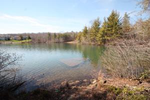 124 Brambleton Drive 359