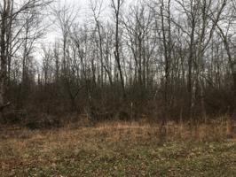 Lot 78 And 79 Hutoha Drive