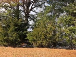 Lot 31 Nunnehi Tr 31