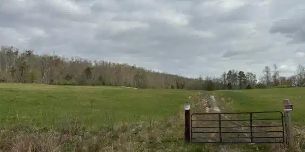 Roane State Hwy