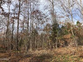 Lot 166 E Dogwood Trail Tr