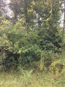 6028 Running Creek Drive
