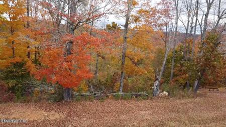 S Lot 583 S Two Rivers Lane Lane